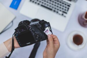 Fotografowanie zwierząt: jak uwiecznić ich osobowość