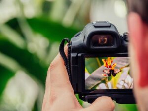 Fotografia aktu artystycznego – wirtualny dialog z pięknem ciała