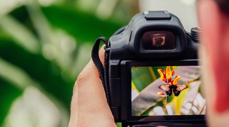 black digital camera capturing yellow flower