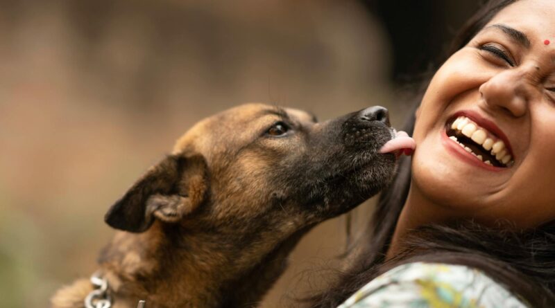 Dog Licking a Laughing Woman